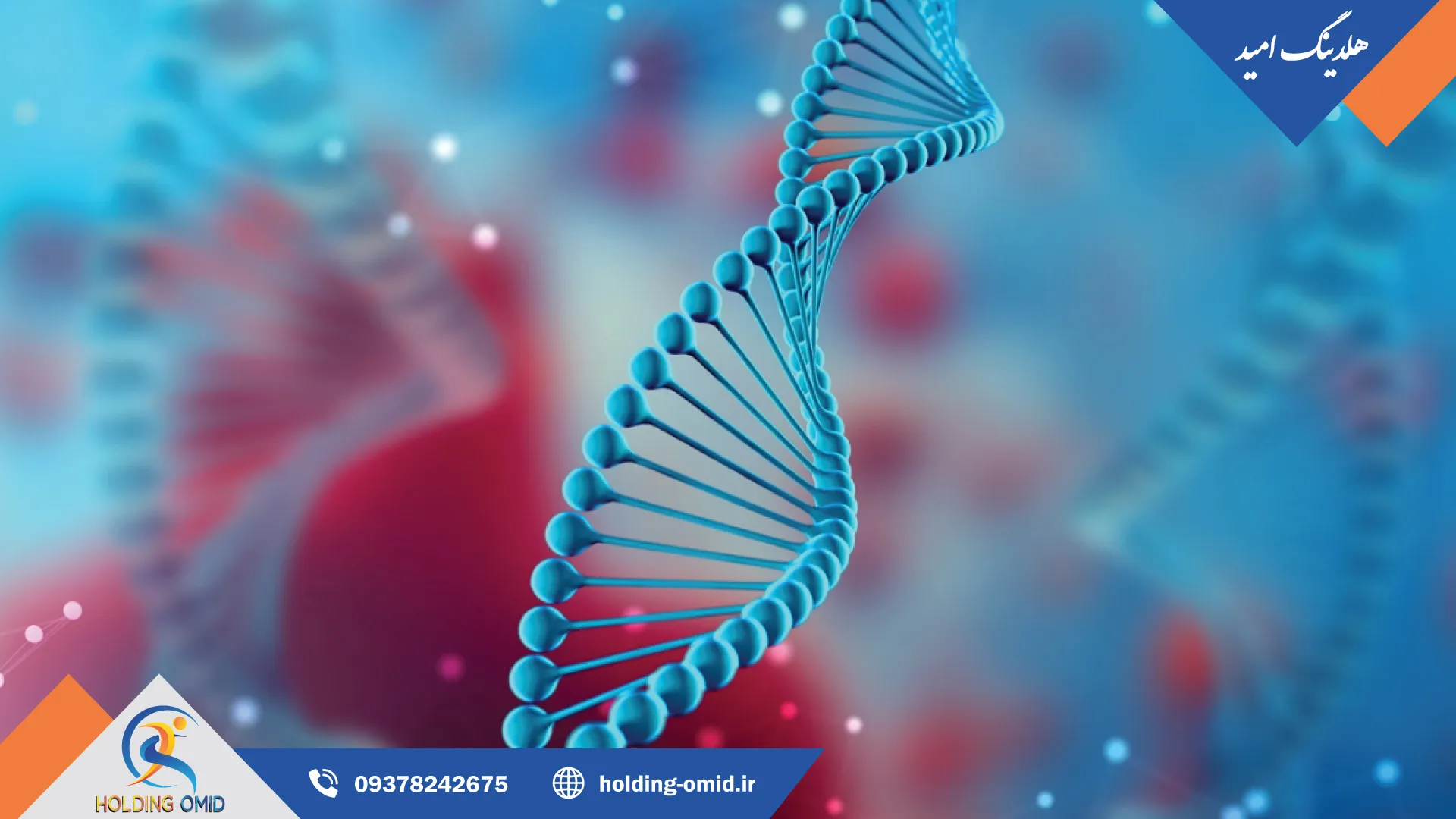 تحلیل DNA برای استعدادیابی ورزشی کودکان